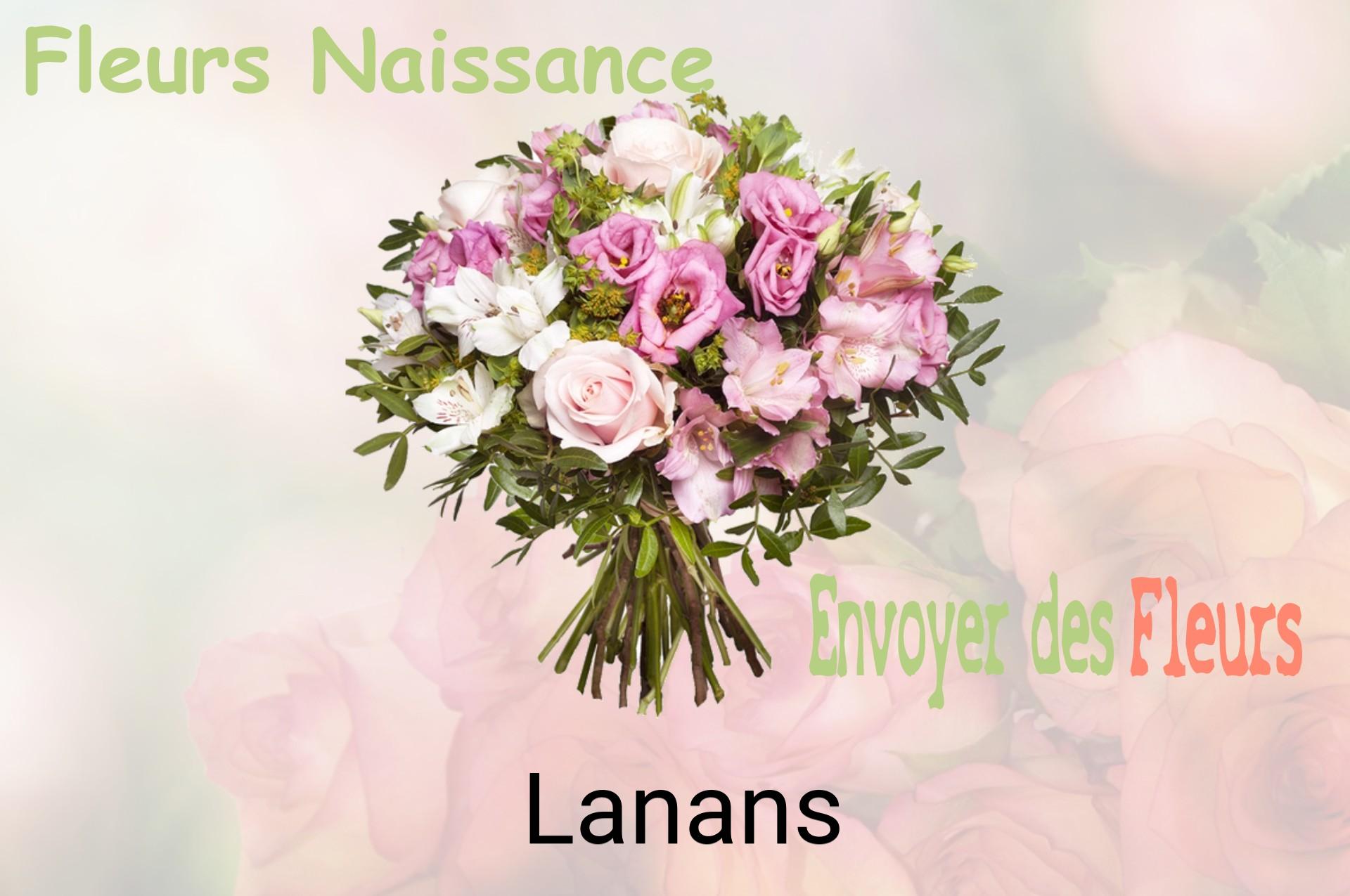 Bouquet de fleurs de naissance livré à Lanans